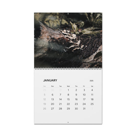 2025 Wall Calendar - Nature Photography